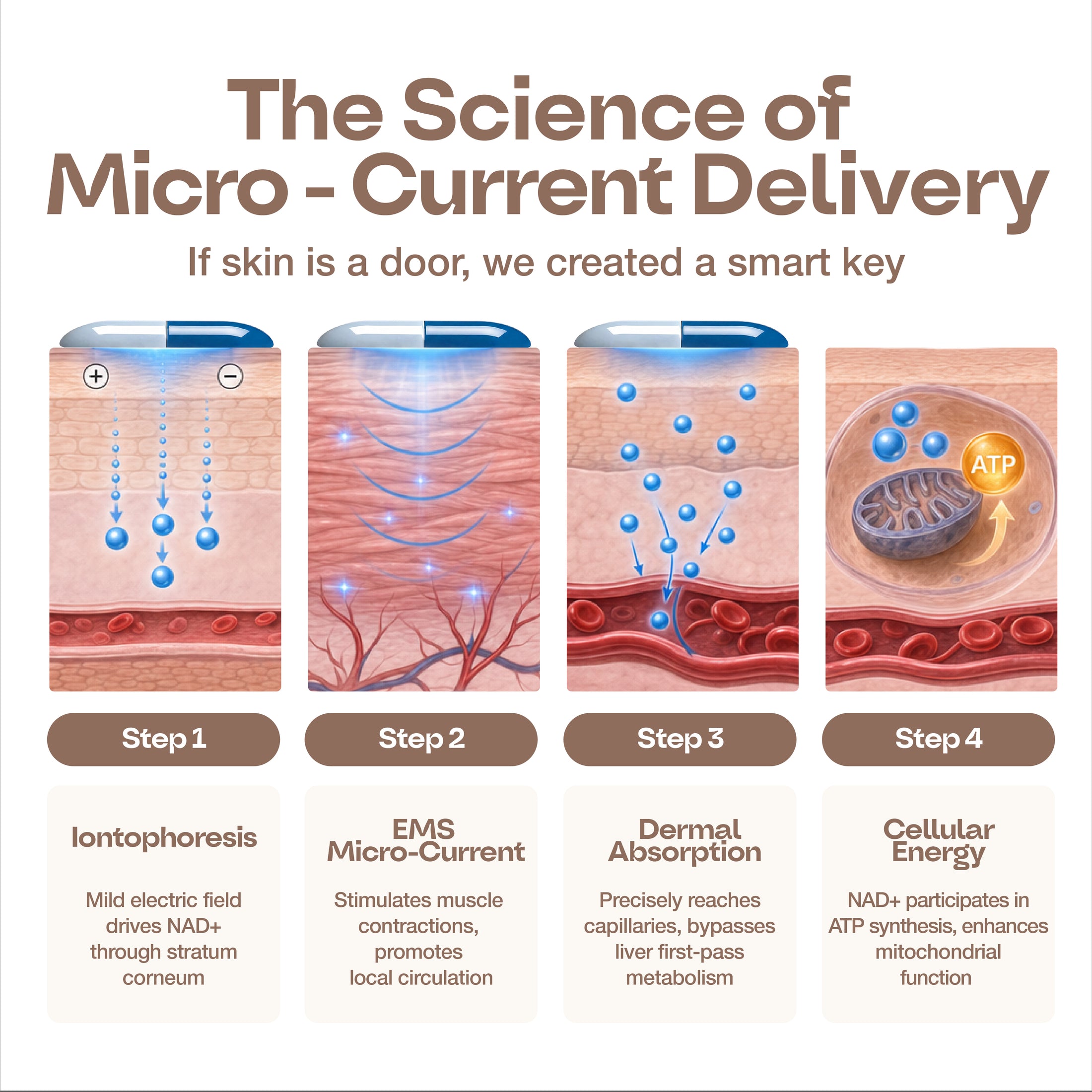 SPRINTPATCH NAD+ Microcurrent Transdermal Patch