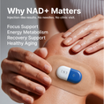Load image into Gallery viewer, SPRINTPATCH NAD+ Microcurrent Transdermal Patch
