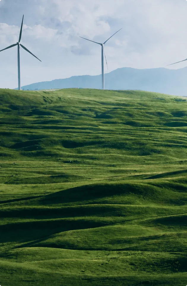 Sustainable Energy Aesthetics.