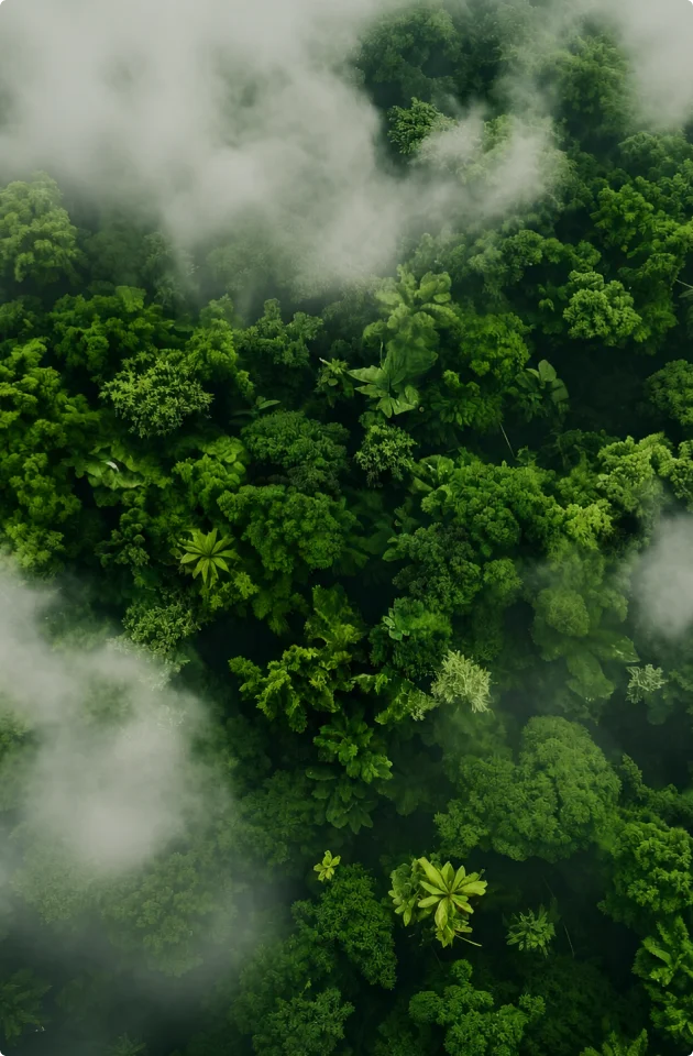 Sustainable Energy Aesthetics.